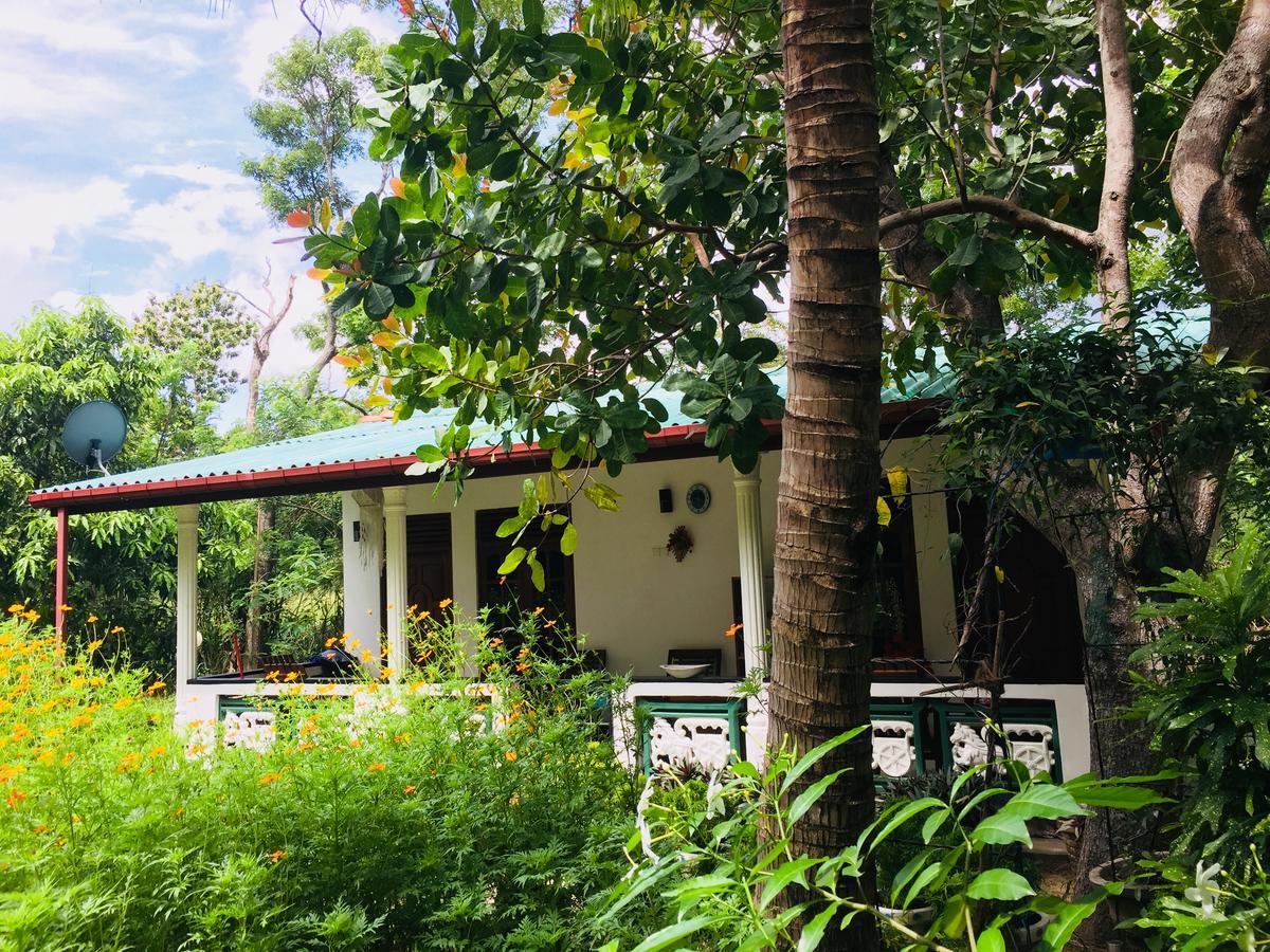 Sigiri Saman Home Stay Sigiriya Exteriér fotografie