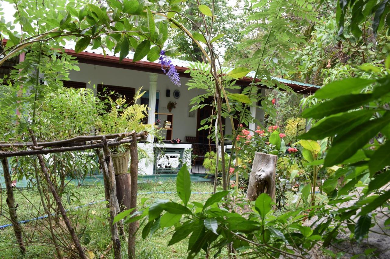 Sigiri Saman Home Stay Sigiriya Exteriér fotografie