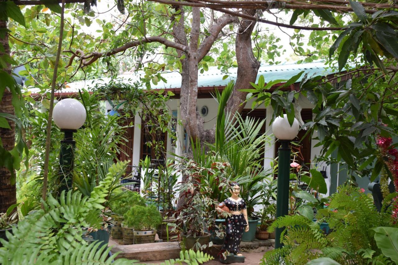 Sigiri Saman Home Stay Sigiriya Exteriér fotografie