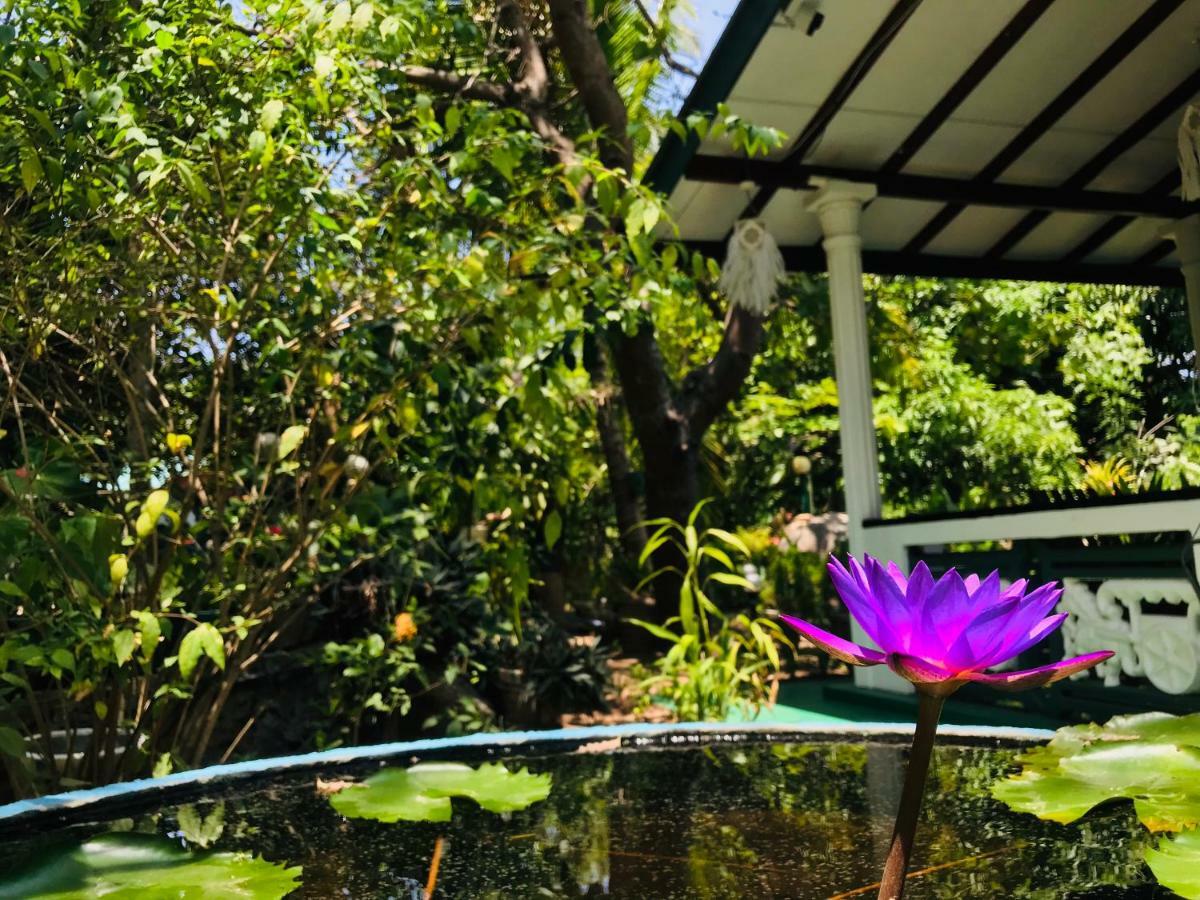 Sigiri Saman Home Stay Sigiriya Exteriér fotografie