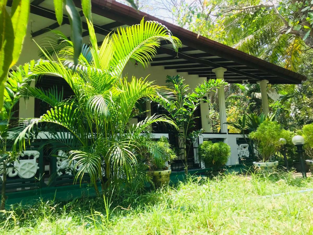 Sigiri Saman Home Stay Sigiriya Exteriér fotografie